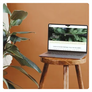 Moderner Online Shop für ein E-Commerce Unternehmen für nachhaltigen Vanlife aus London – erstellt von Søskendesign.